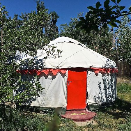 Arista Yurt Camp Hotell Karakol Rom bilde