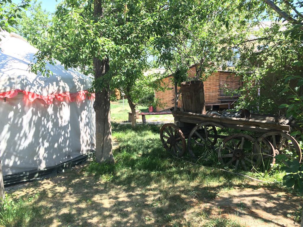 Arista Yurt Camp Hotell Karakol Rom bilde